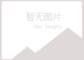 偃师幻灵演艺有限公司